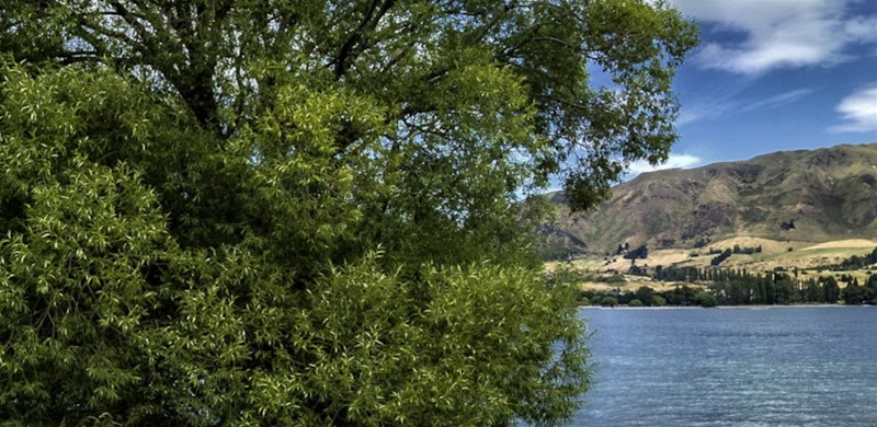 Lake Wanaka